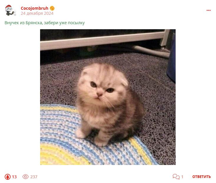 Кострище дайджест 2024 22.12 - 28.12