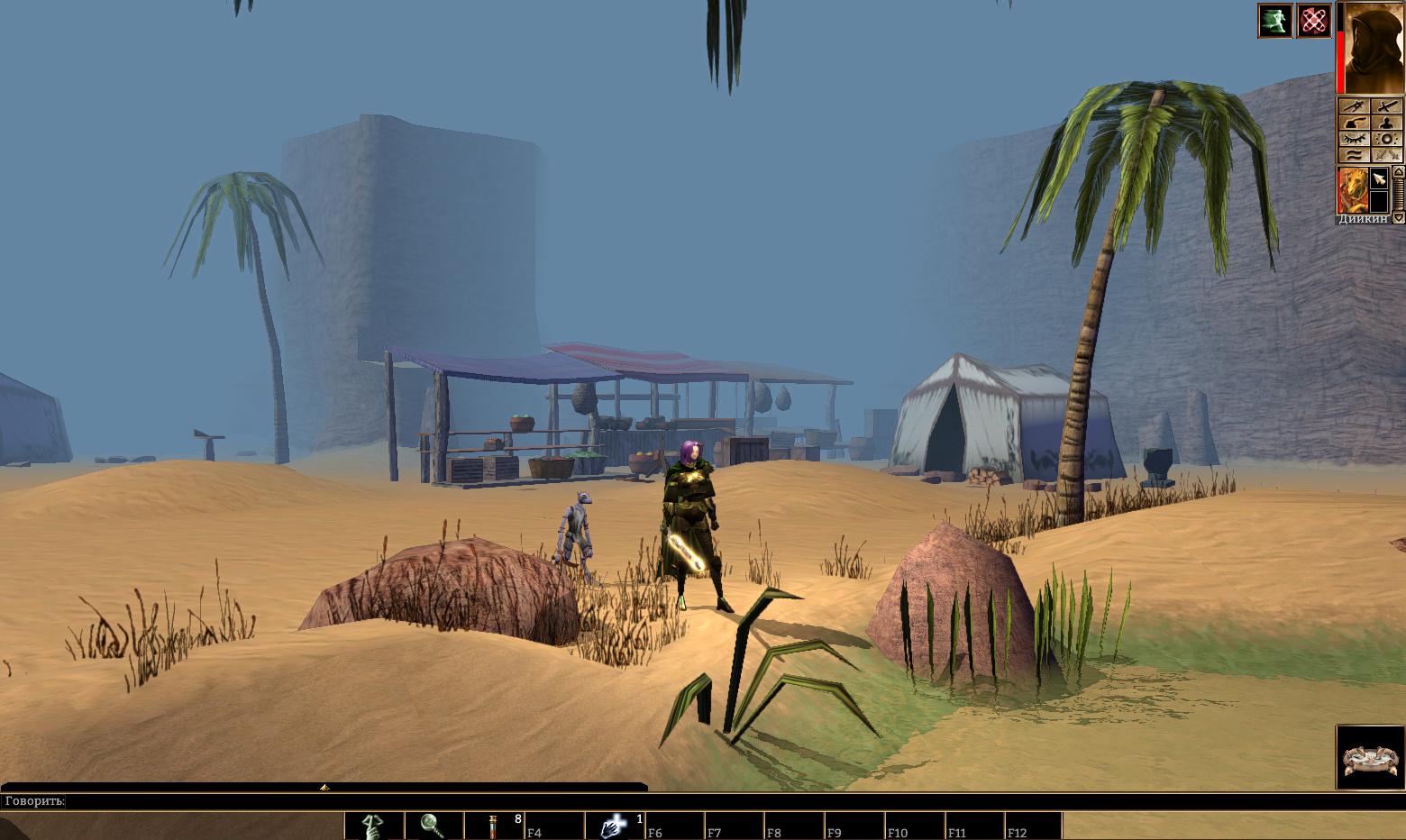 Neverwinter Nights
