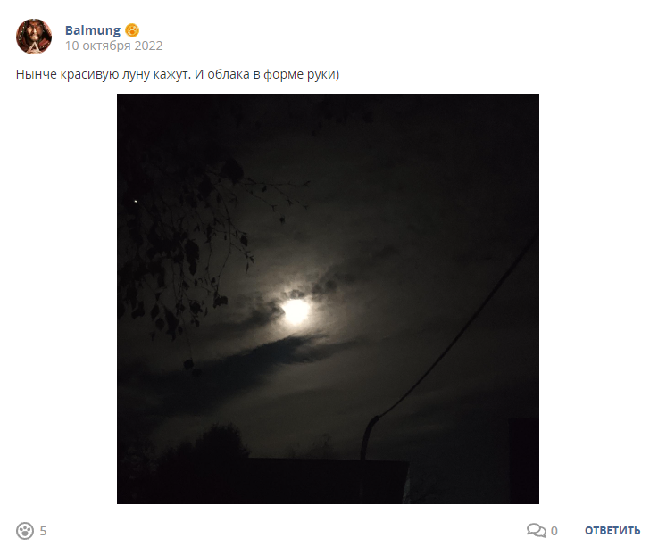 Кострище дайджест 2022 09.10-15.10