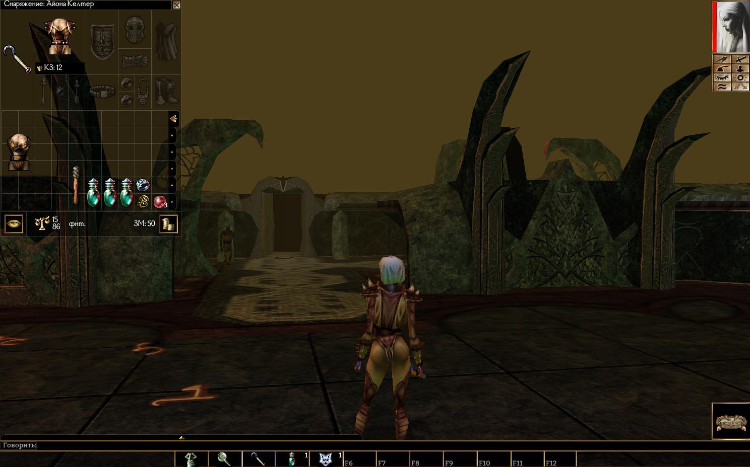 Neverwinter Nights