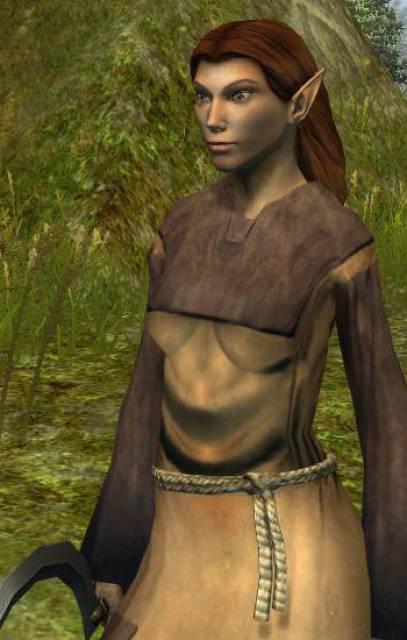 Neverwinter Nights 2