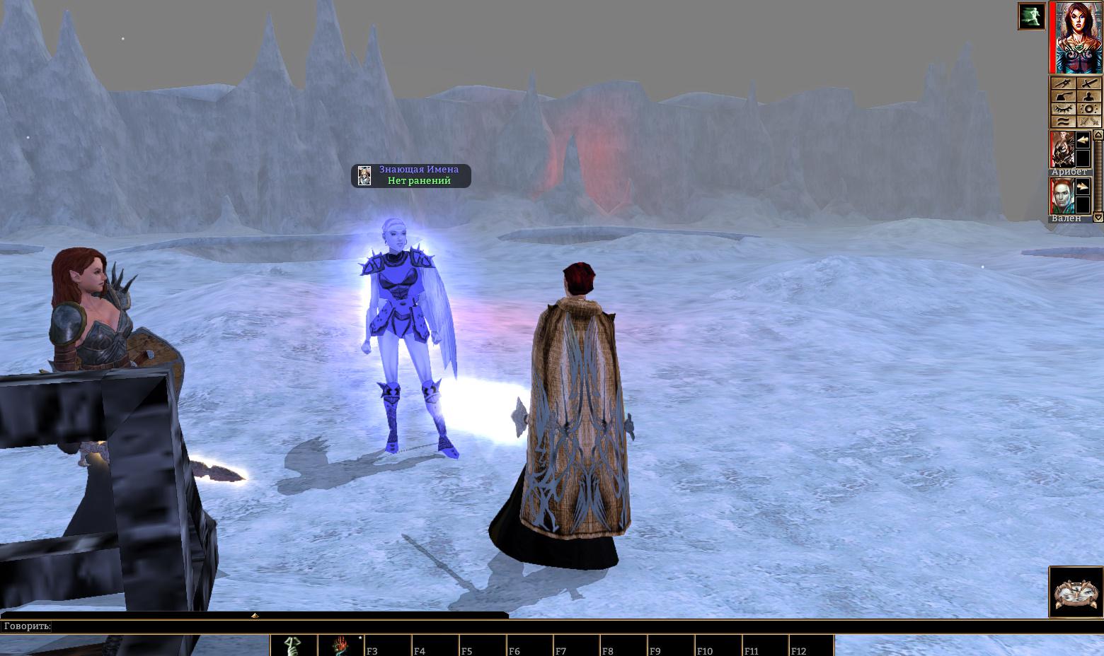 Neverwinter Nights