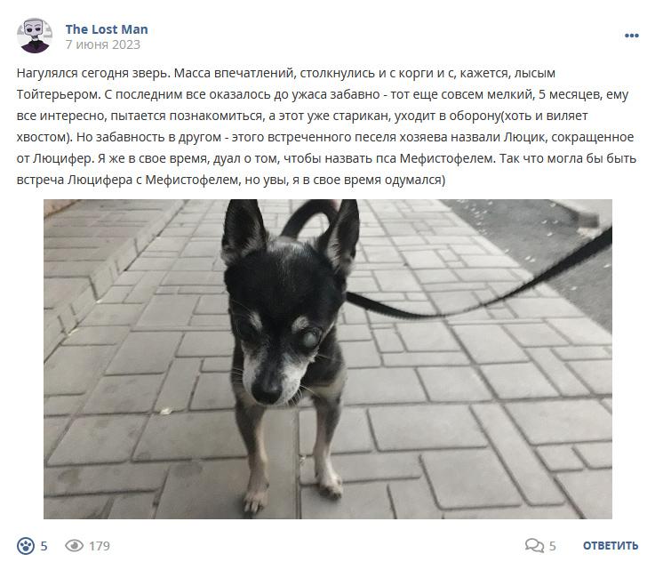 Кострище дайджест 2023 04.05 - 10.06