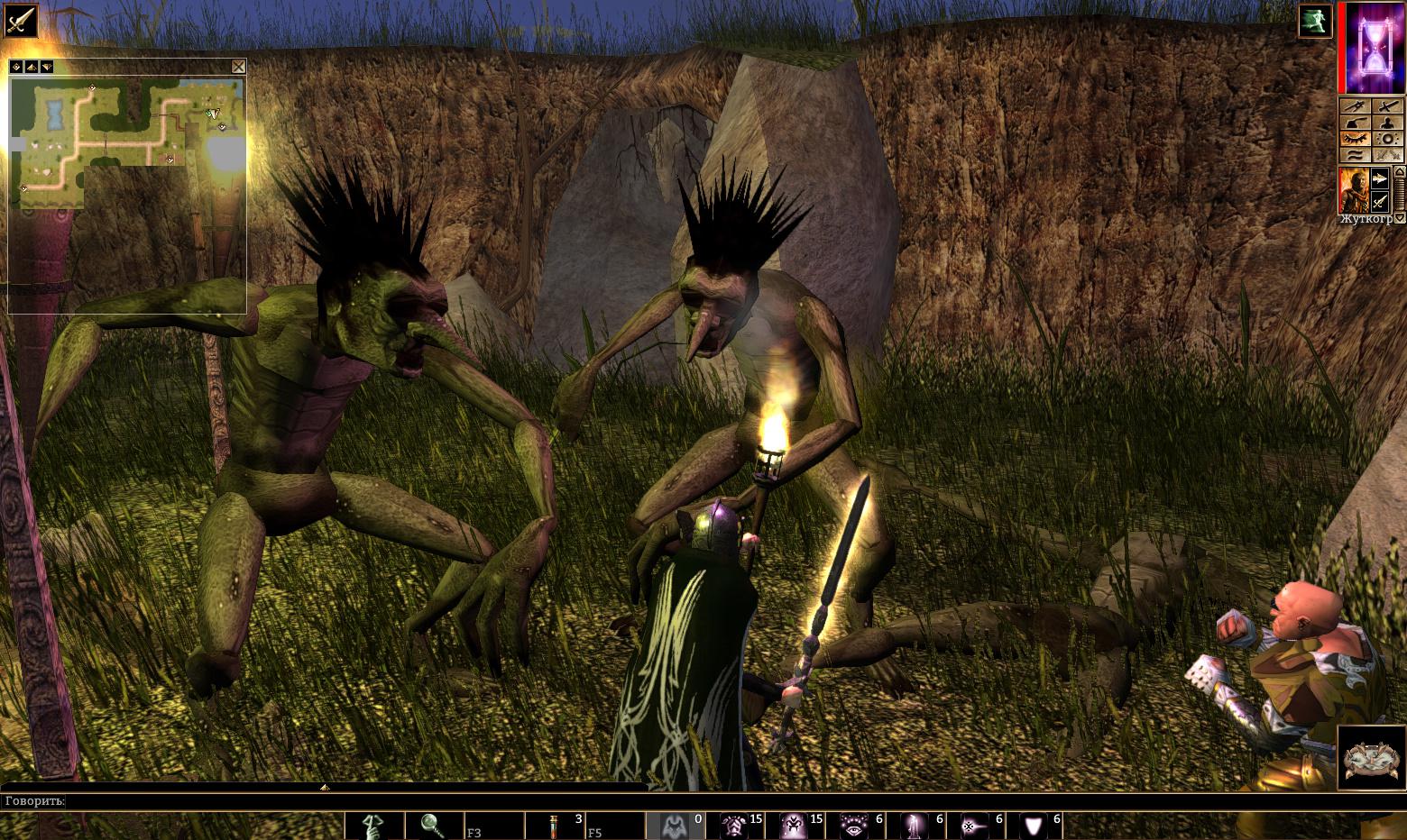 Neverwinter Nights