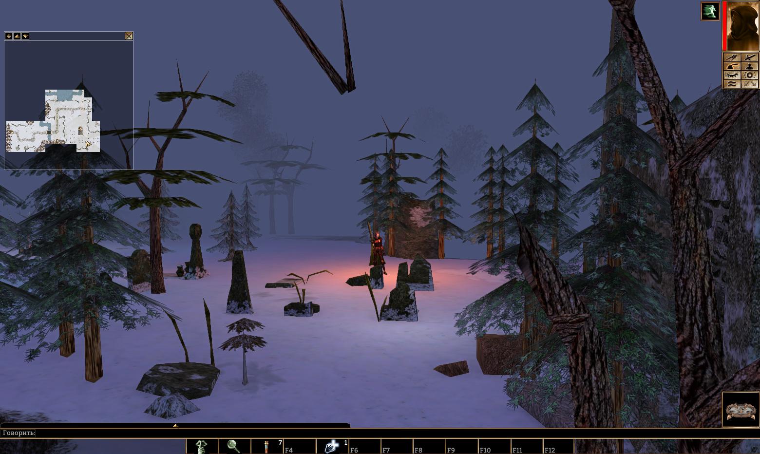 Neverwinter Nights
