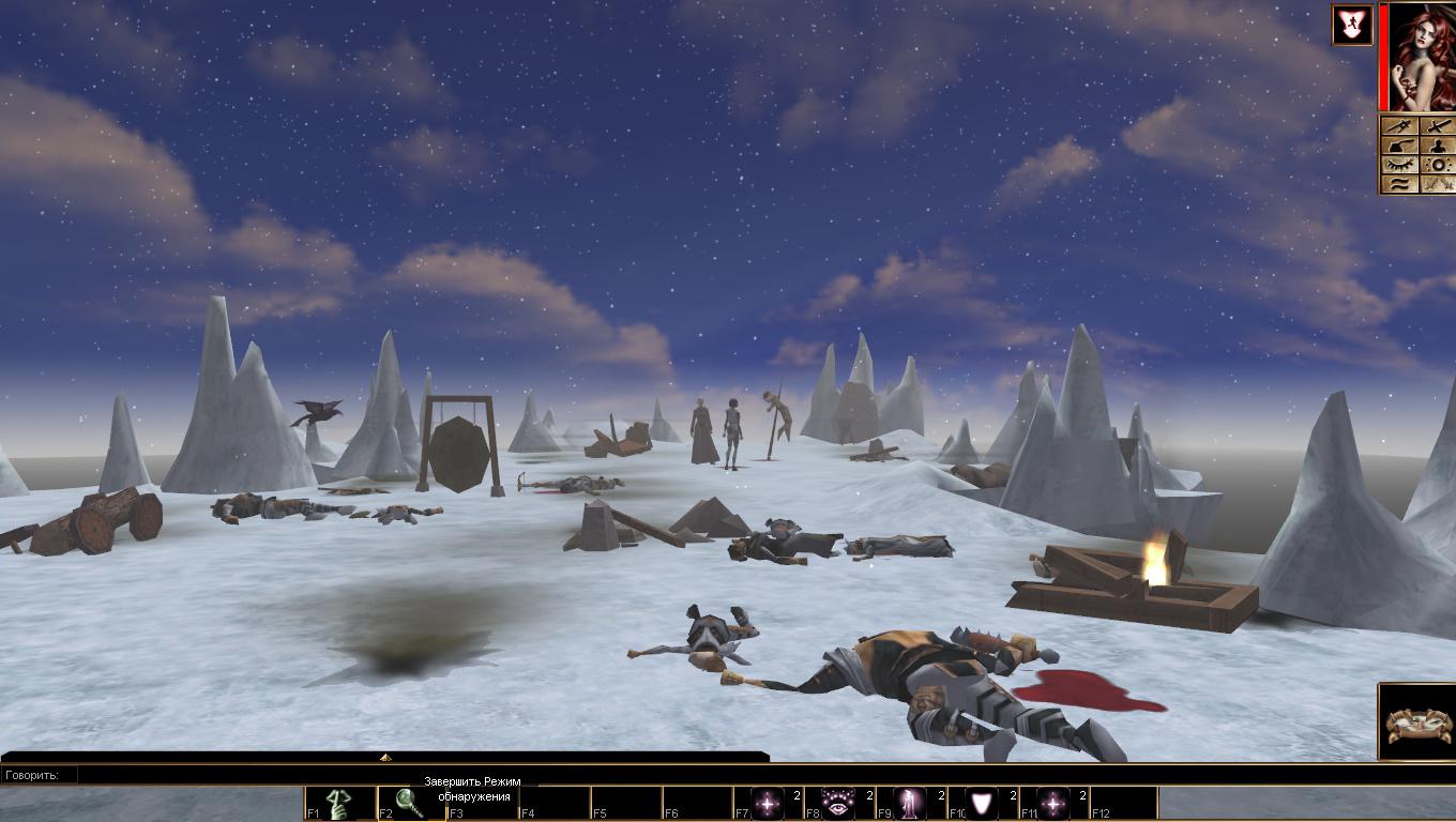 Neverwinter Nights