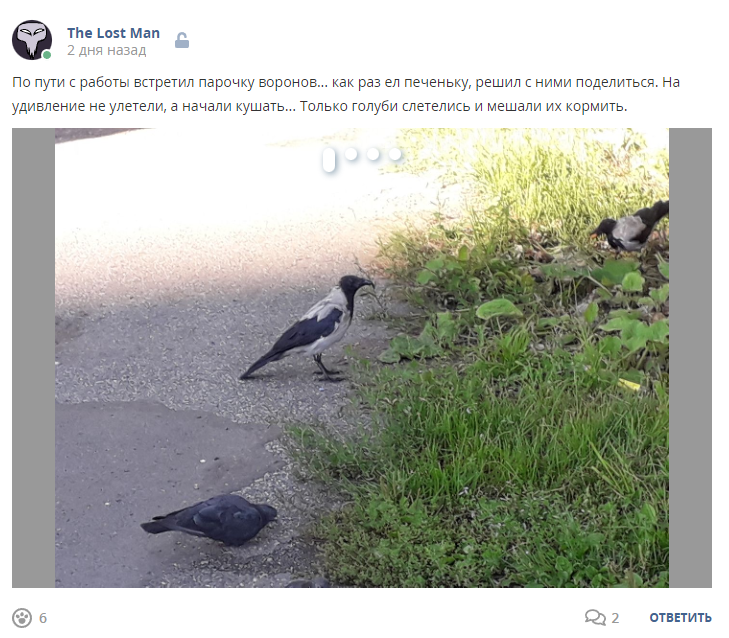 Кострище дайджест 2022 14.08 - 20.08