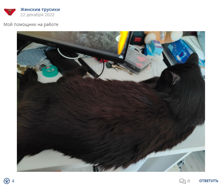 Кострище дайджест 2022 18.12 - 24.12