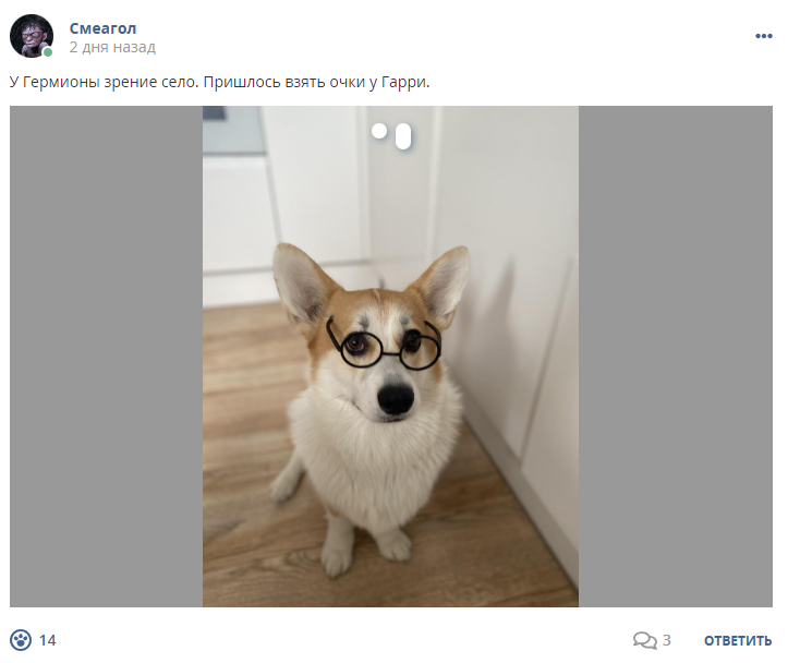 Кострище дайджест 2023 04.05 - 10.06