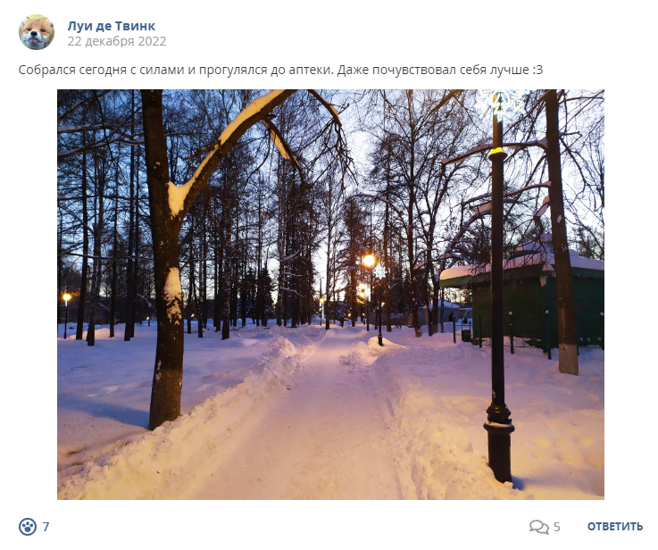 Кострище дайджест 2022 18.12 - 24.12