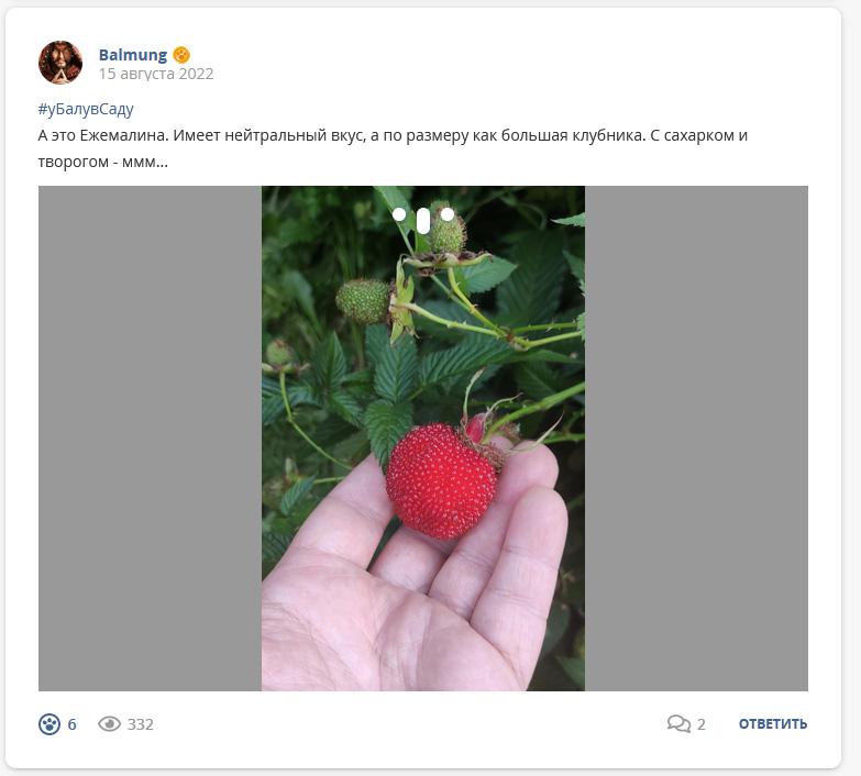 Кострище дайджест 2022 14.08 - 20.08
