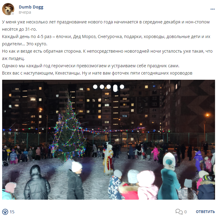 Кострище дайджест 2024 22.12 - 28.12