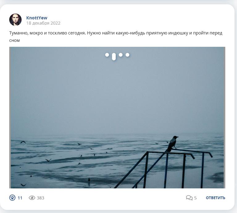 Кострище дайджест 2022 18.12 - 24.12