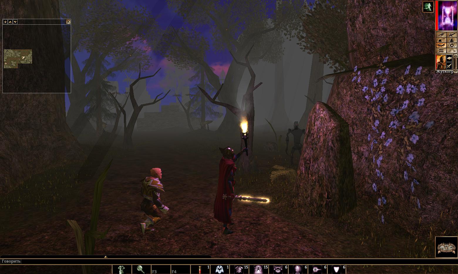 Neverwinter Nights